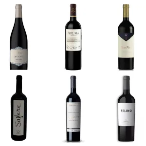 Mix vinos por menos de 20K
