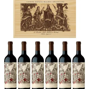 Malbec Argentino 2022 Caja x 6